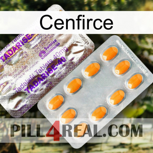 Cenfirce new12.jpg